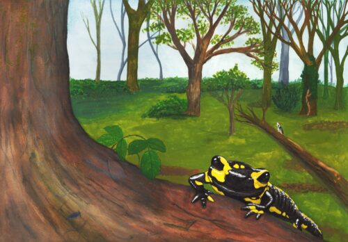 Artprint 'De vuursalamander', A2-formaat