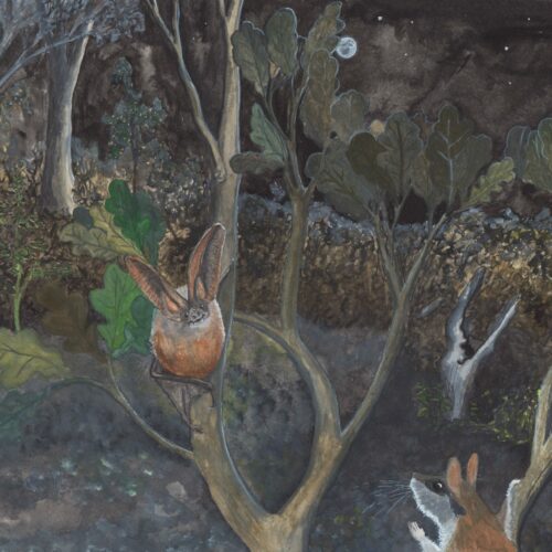 Artprint 'De vleermuis', A2-formaat