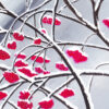 Kerstkaart eco 'Besneeuwde bessen' - Afbeelding 2